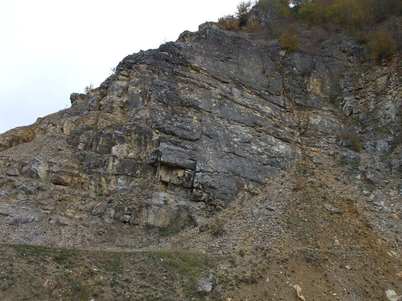  - Album TARGU LAPUS
