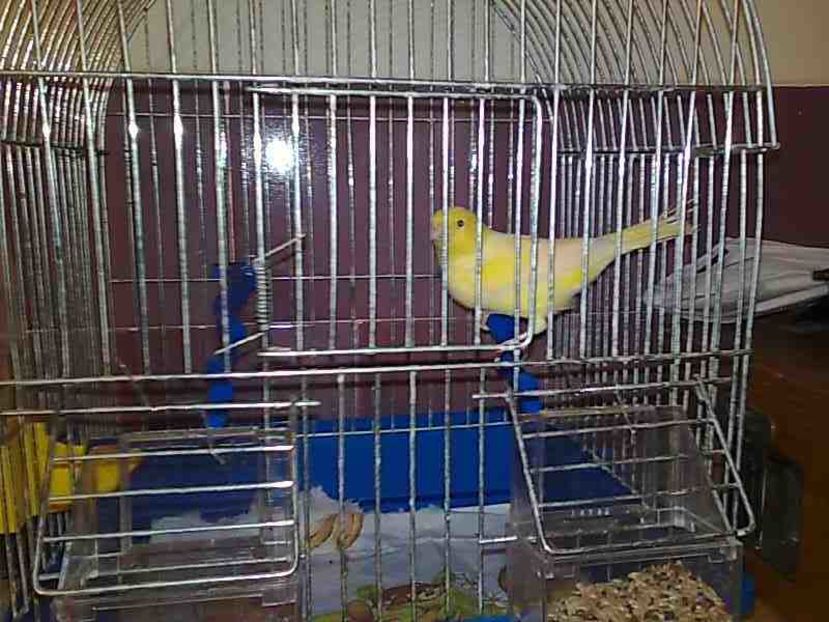 Imagine0035 - Aris-Bozies