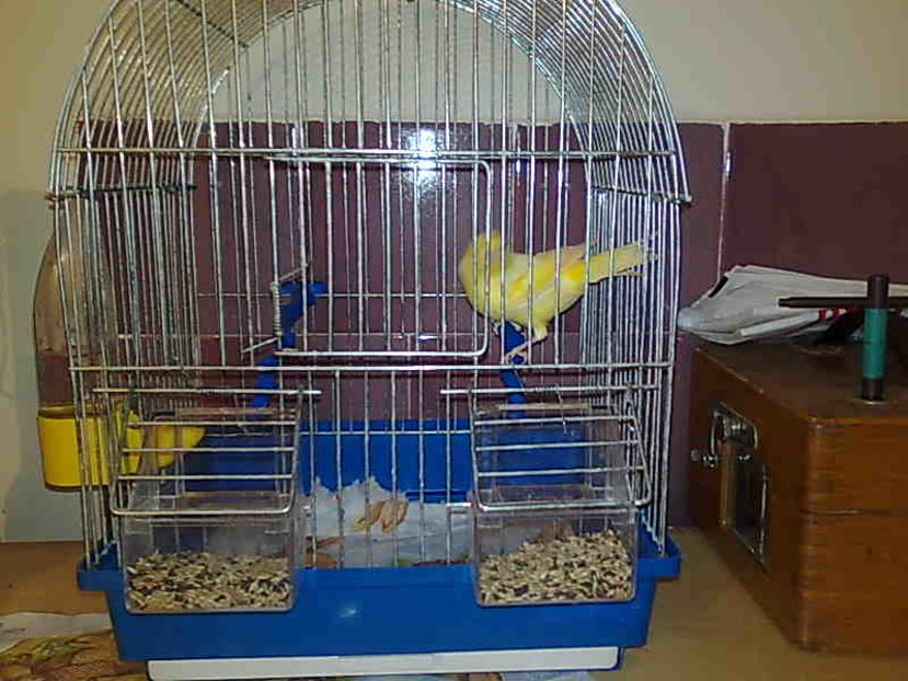 Imagine0036 - Aris-Bozies