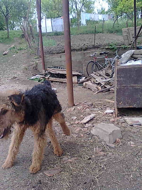 Imagine039 - Aris-Bozies