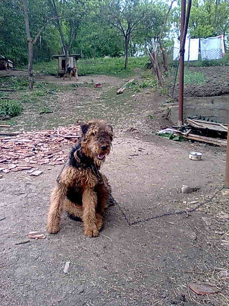 Imagine040 - Aris-Bozies