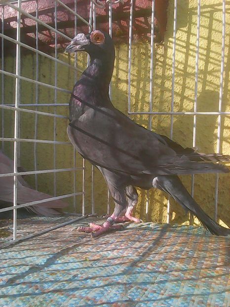 Photo0273