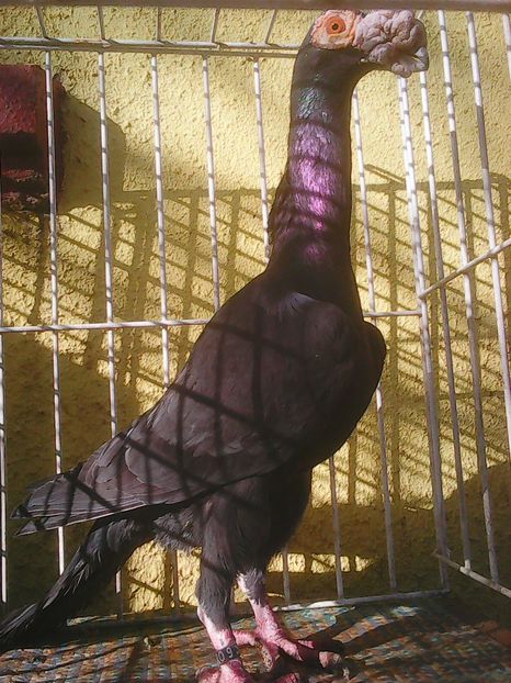 Photo0296