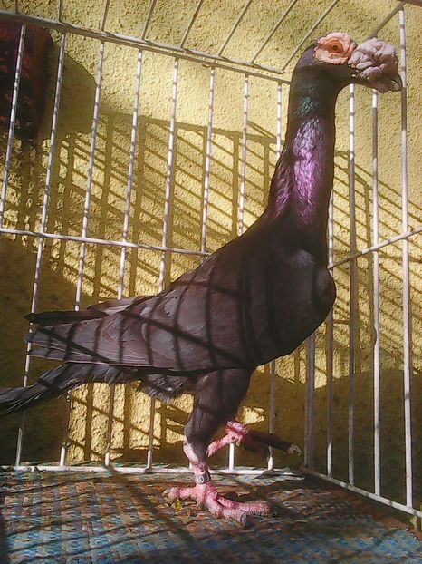 Photo0297