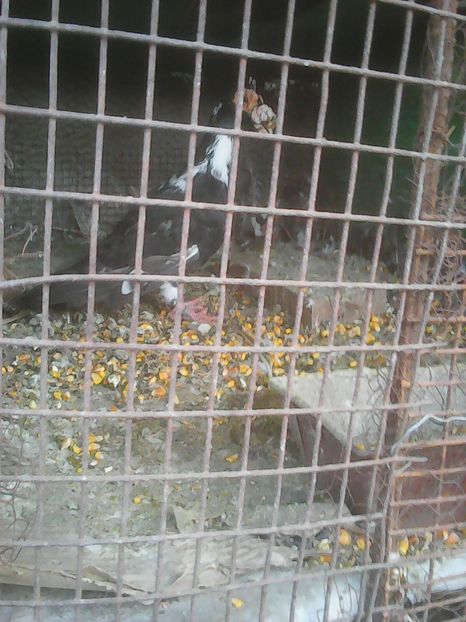 Photo0392