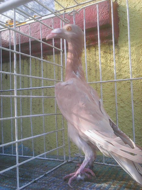Photo0339