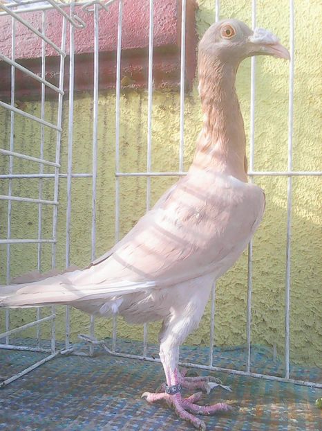 Photo0340