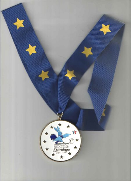 9.medalie participare (2) - 0 CUSTI 2016