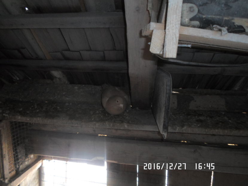 SAM_0676