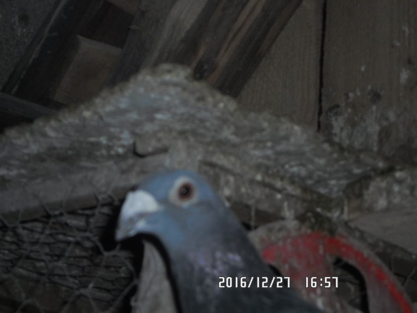 SAM_0700
