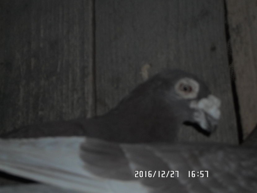 SAM_0701