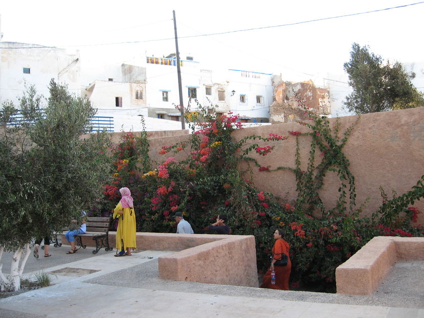  - Maroc 2012 _ Rabat Casablanca Marrakech Ouarzazate Ifrane Fez Gibraltar