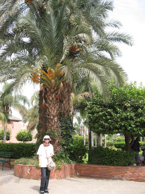  - Maroc 2012 _ Rabat Casablanca Marrakech Ouarzazate Ifrane Fez Gibraltar