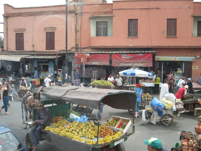  - Maroc 2012 _ Rabat Casablanca Marrakech Ouarzazate Ifrane Fez Gibraltar