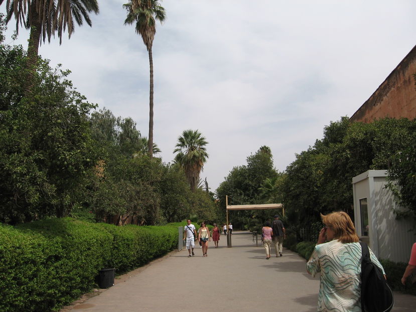  - Maroc 2012 _ Rabat Casablanca Marrakech Ouarzazate Ifrane Fez Gibraltar