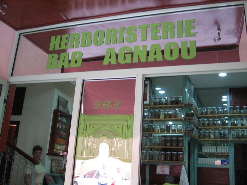  - Maroc 2012 _ Rabat Casablanca Marrakech Ouarzazate Ifrane Fez Gibraltar