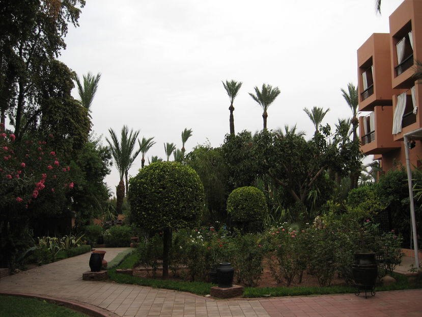  - Maroc 2012 _ Rabat Casablanca Marrakech Ouarzazate Ifrane Fez Gibraltar
