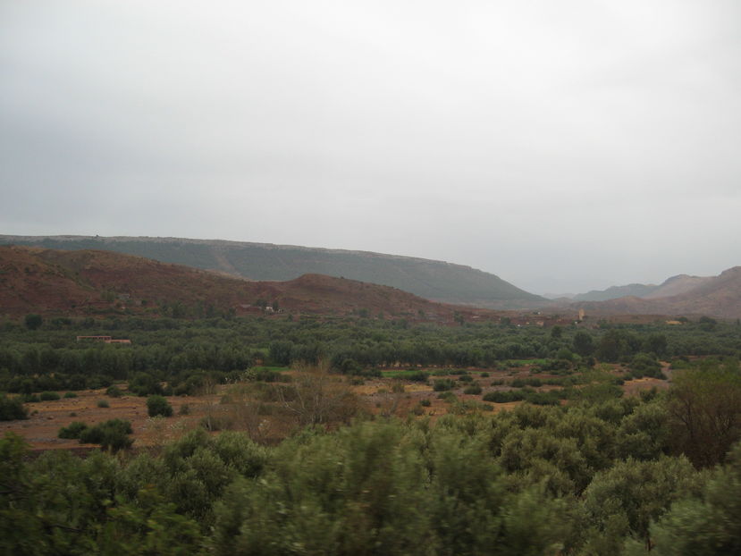  - Maroc 2012 _ Rabat Casablanca Marrakech Ouarzazate Ifrane Fez Gibraltar