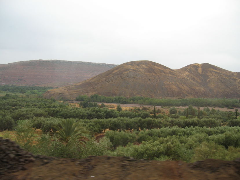  - Maroc 2012 _ Rabat Casablanca Marrakech Ouarzazate Ifrane Fez Gibraltar