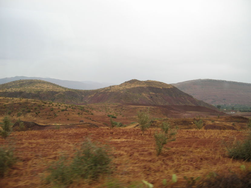  - Maroc 2012 _ Rabat Casablanca Marrakech Ouarzazate Ifrane Fez Gibraltar