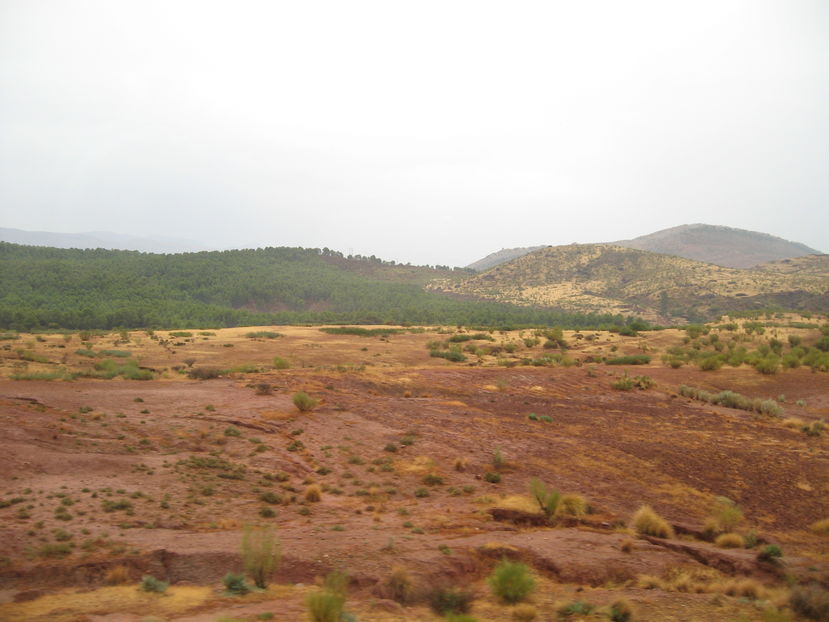  - Maroc 2012 _ Rabat Casablanca Marrakech Ouarzazate Ifrane Fez Gibraltar