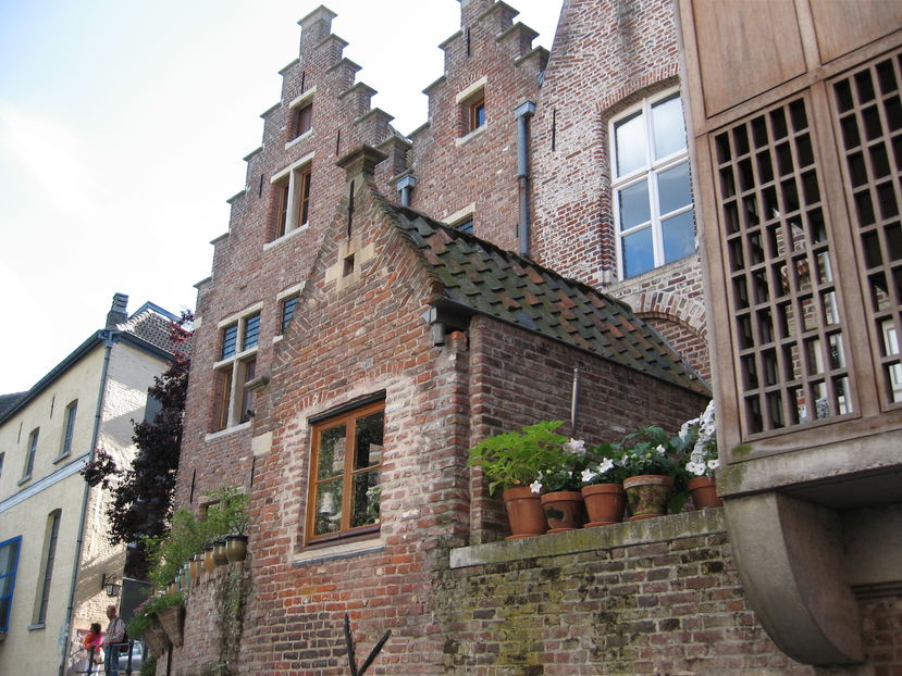 1 253 - Belgia Olanda Germania 2013
