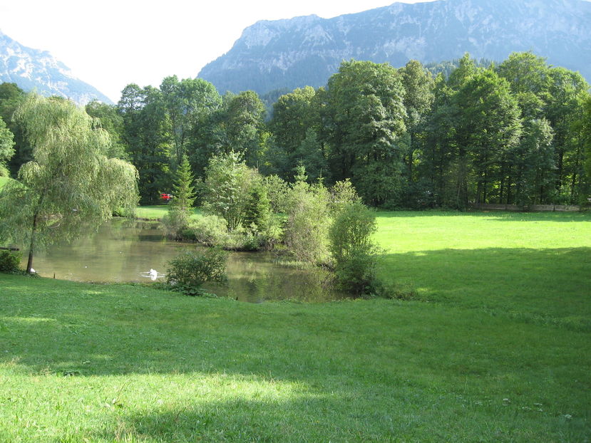 1 1158 - Belgia Olanda Germania 2