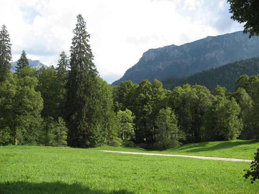 1 1160 - Belgia Olanda Germania 2