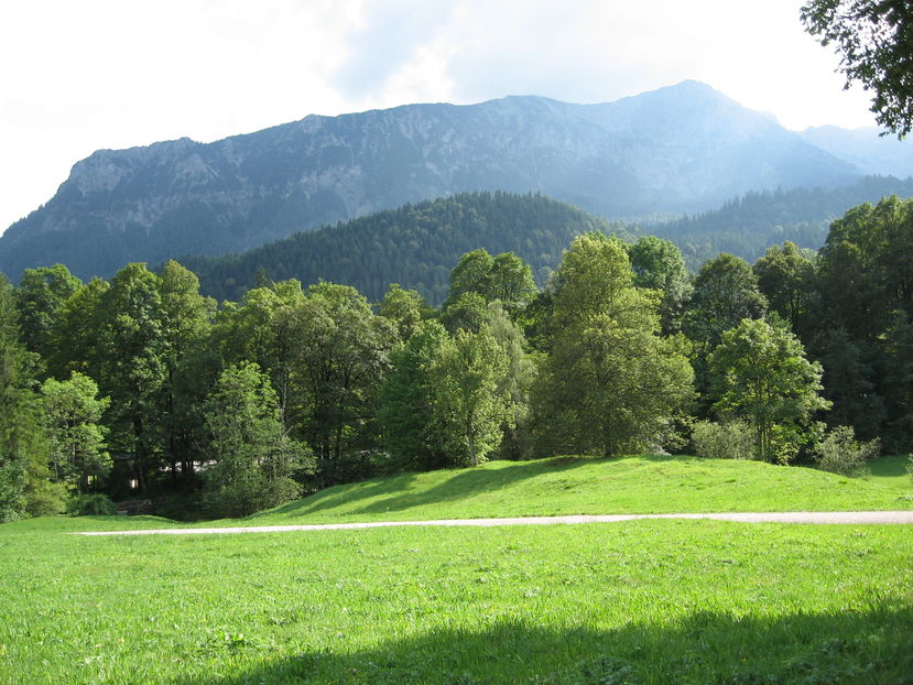 1 1161 - Belgia Olanda Germania 2