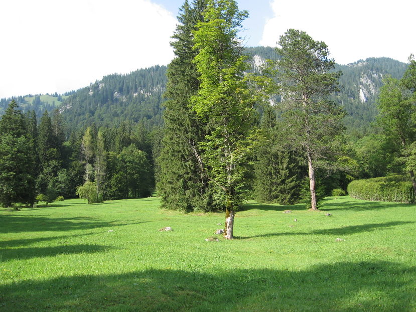 1 1162 - Belgia Olanda Germania 2