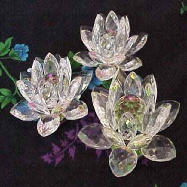 Flori de cristal - Cristale