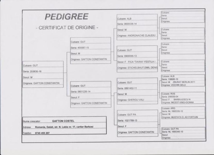 PEDIGRIU  M 253630-16