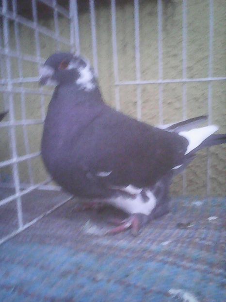 Photo0411