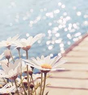 Ceilalti s-au dus in sala de film si Marinette statea langa Adrien..........