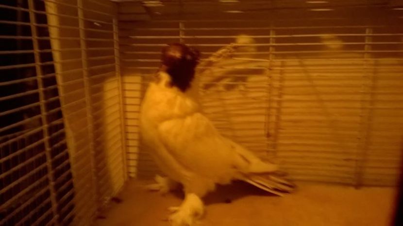 FB_20161221_07_16_08_Saved_Picture