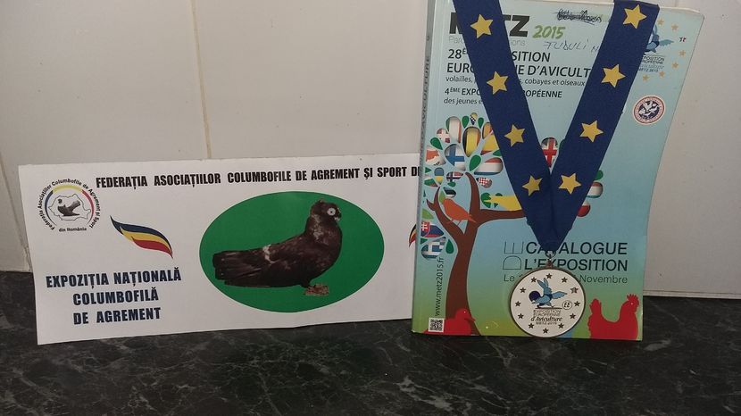 ; Aceasta medalie a fost castigata, in Franta METZ in anul 2015
