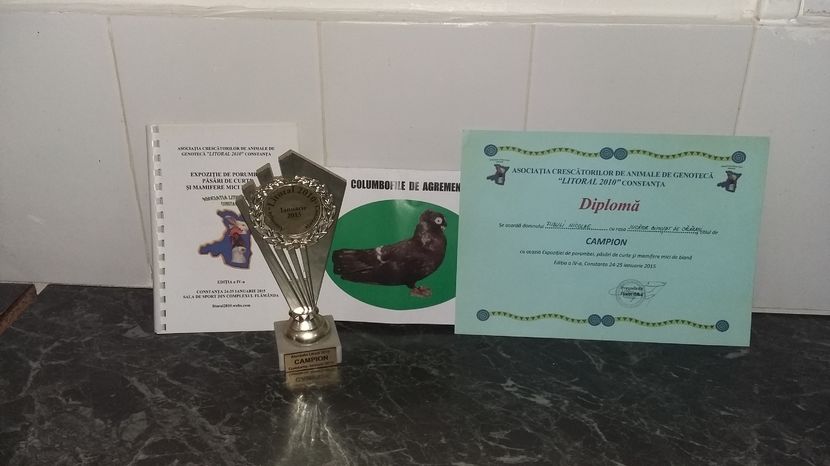 ; Aceasta cupa a fost castigata la Constanta 24/25 Ianuarie 2015.
