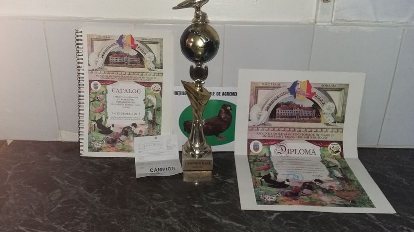 ; Acest trofeu a fost castigat in 2014 pe 30 Noiembrie la Lugoj
