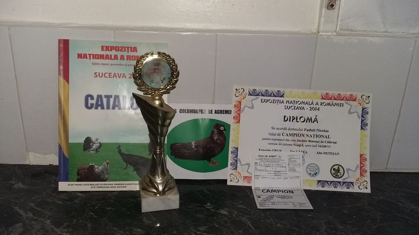; Acest trofeu a fost castigat in 2014 pe 30 Noiembrie la Suceava

