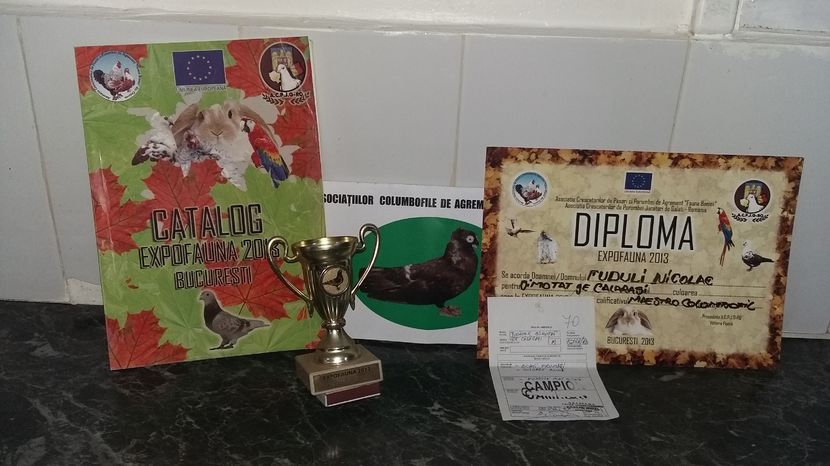 ; Acest trofeu a fost castigat in 2013 Bucuresti! Unde a fost premiat si ca maistru columbofil!
