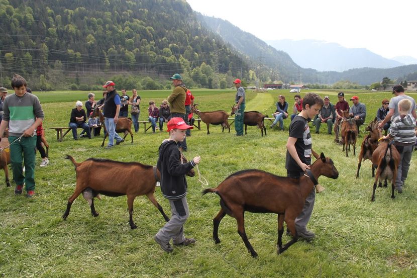 Alpinele franceze la un tur