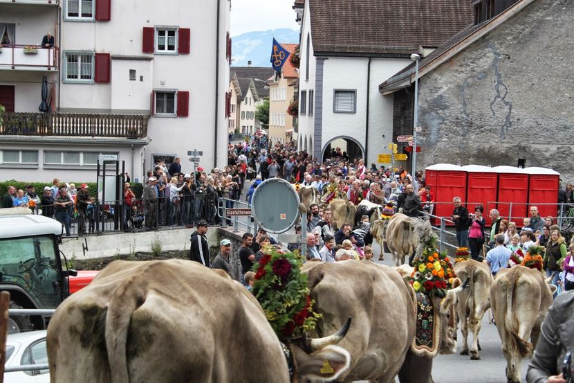 Brunele pe sosea da , la noi la romani nu e voie,,,