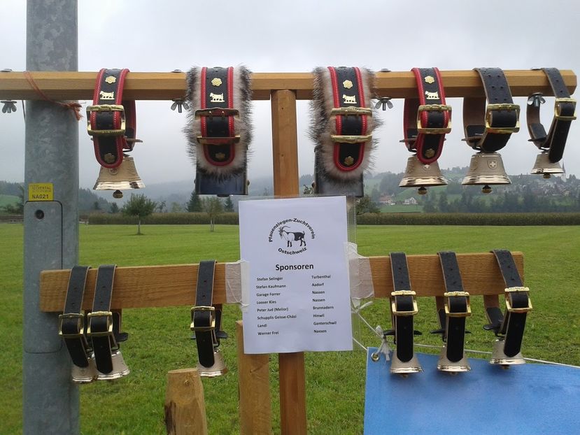 Clopotei pentru capre-6