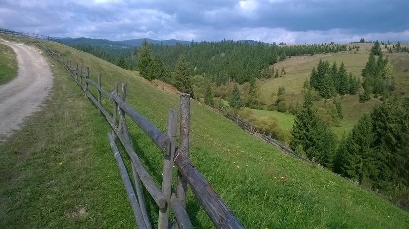 Locuri de pascut cu caprele - PLANTE SI FRUNZE DE ARBORI IN HRANA CAPRELOR
