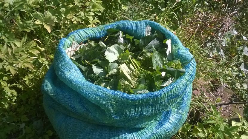 Sacul cu bunaciuni la Alpine-88 - PLANTE SI FRUNZE DE ARBORI IN HRANA CAPRELOR