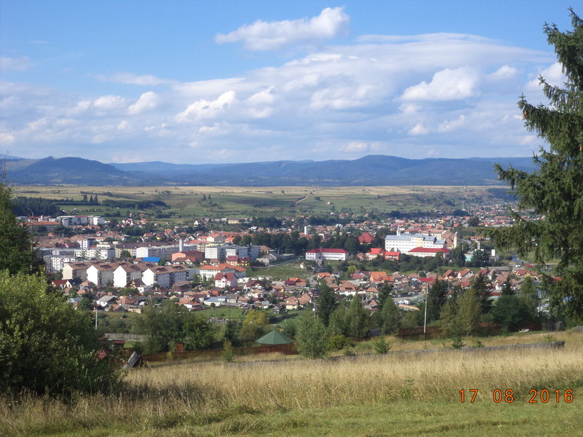 Toplita vazuta de sus-6