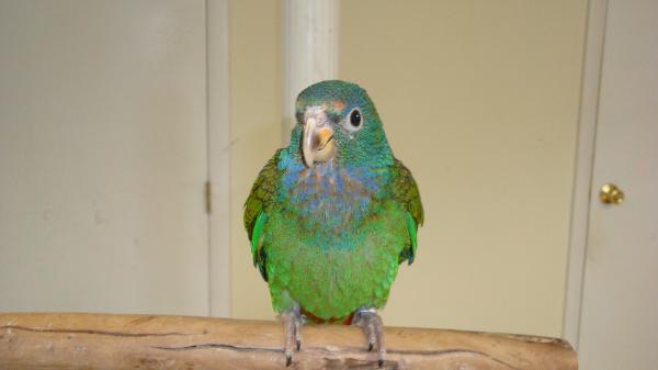 DSC03098-600x337 - PIONUS