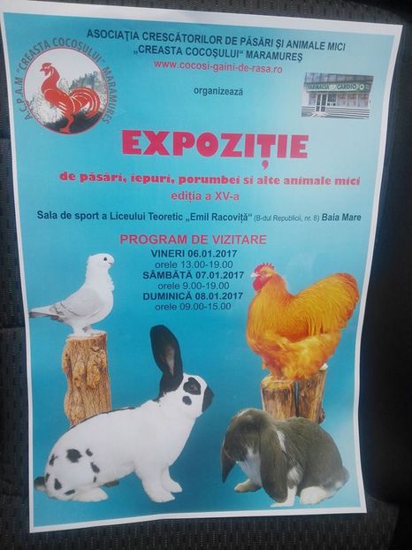 15747545_1885996788324591_5181069676164620623_n - Expozitie Maramures 6-8 ianuarie 2017