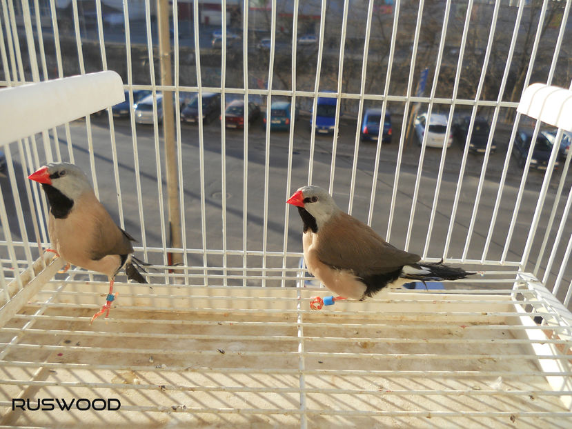 DUPA O PAUZA DE 4 LUNI