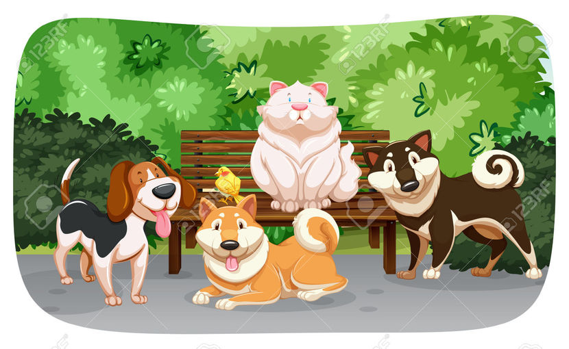 40401522-Dogs-and-cat-in-the-park-Stock-Photo